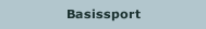 Basissport