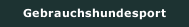 Gebrauchshundesport 