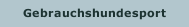 Gebrauchshundesport 